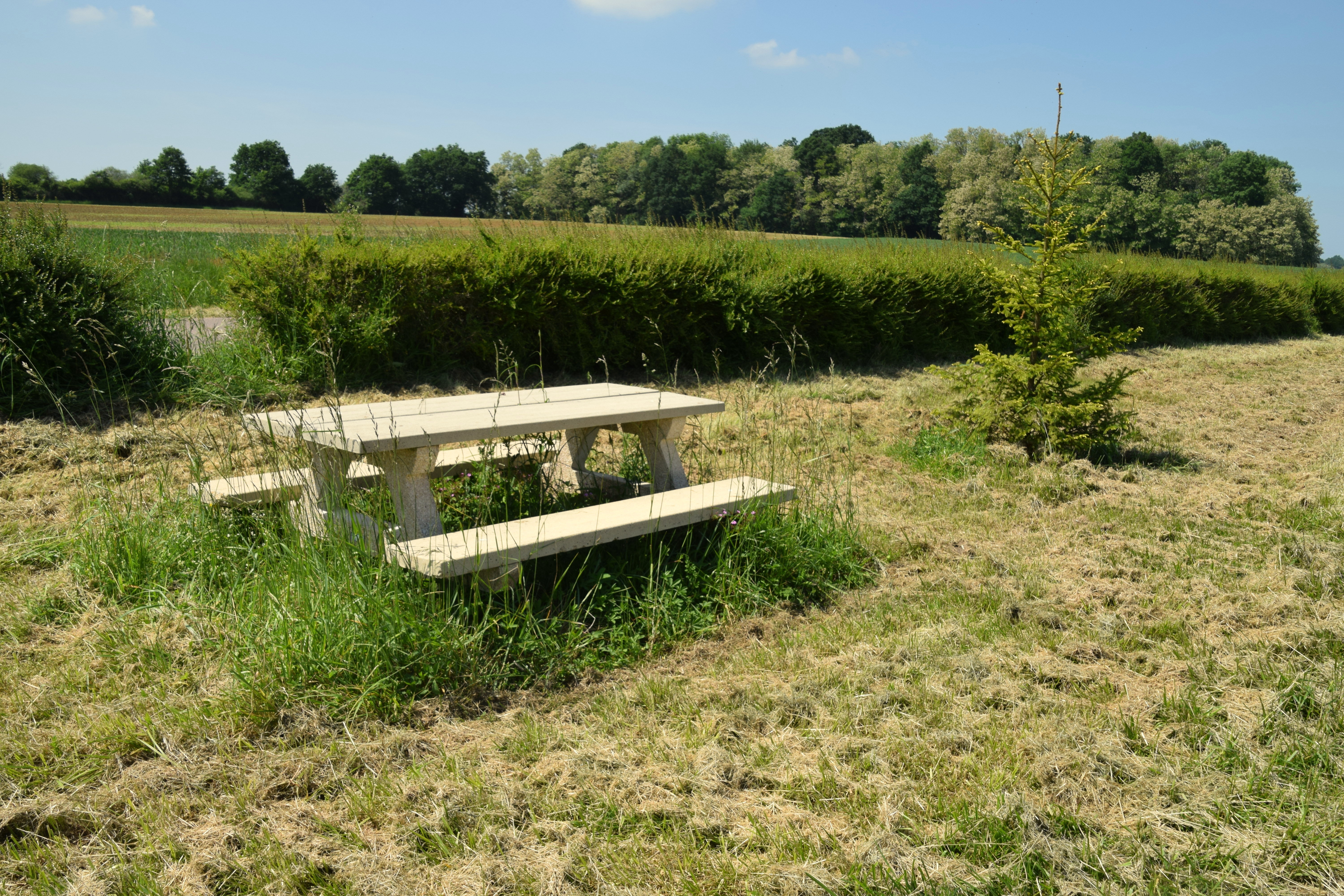 Aire de pique nique - photo 2