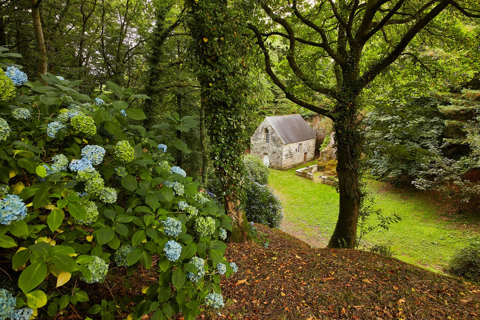 CRTBmorvan_MG_6964.jpg