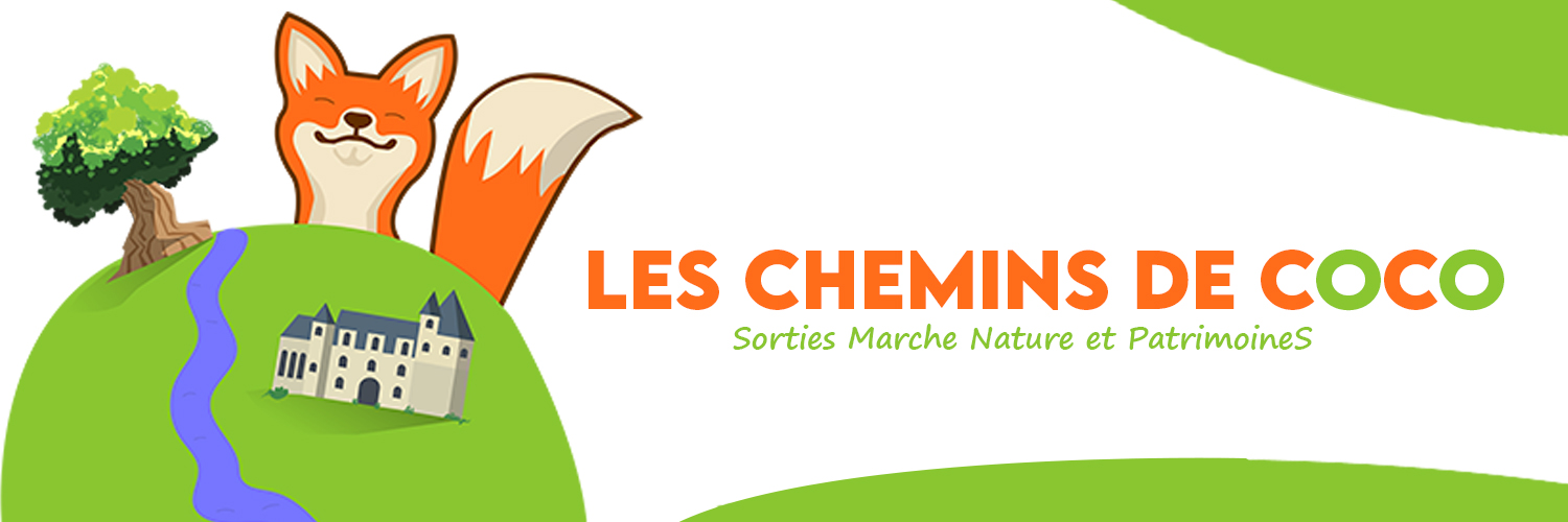 Les chemins de Coco