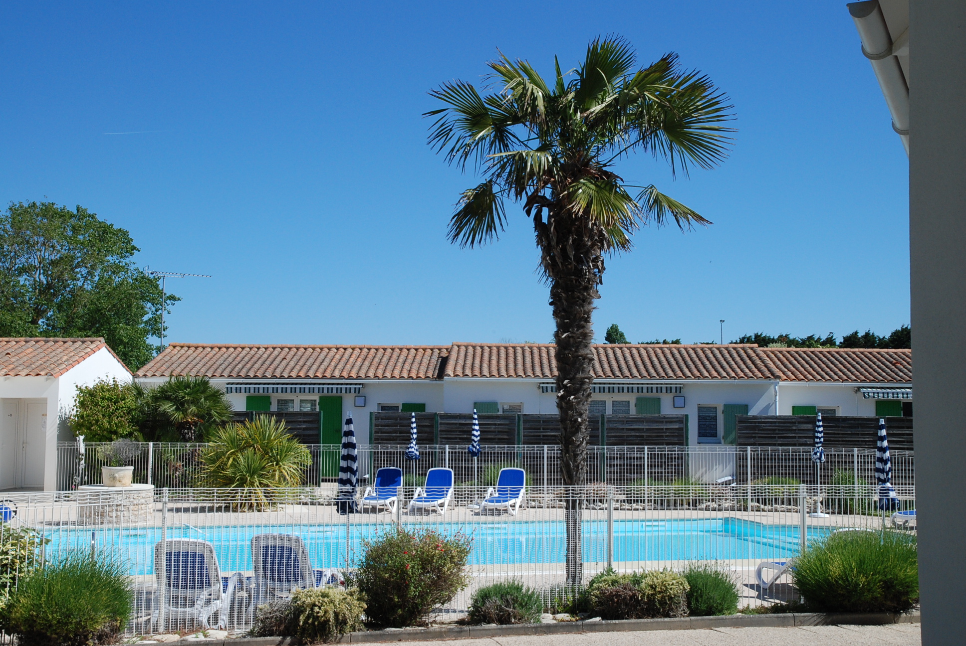 RESIDENCE LE PETIT BOIS SainteMariedeRé Destination Ile de Ré