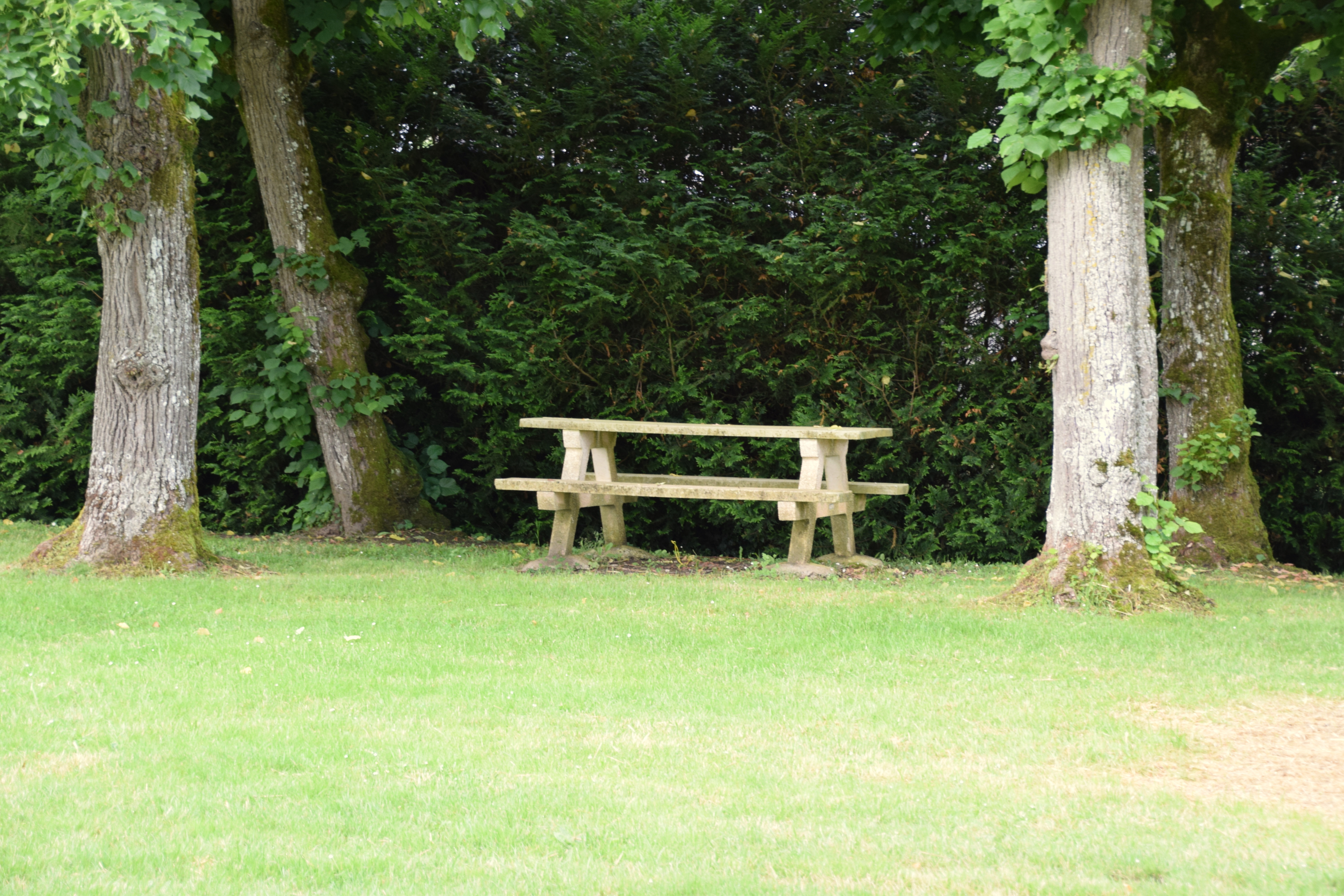 Aire de pique nique - photo 2