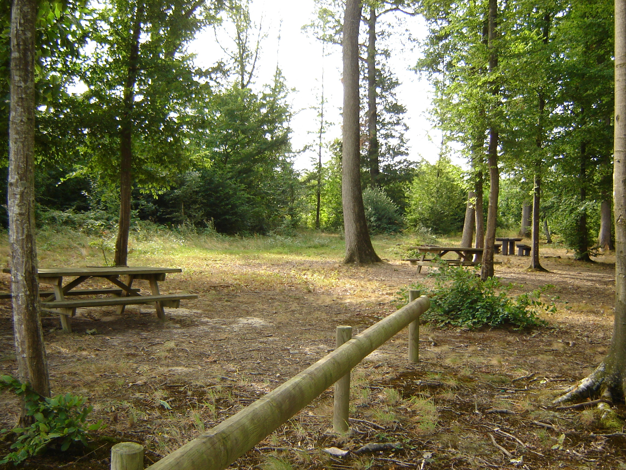 Aire de pique nique - photo 3