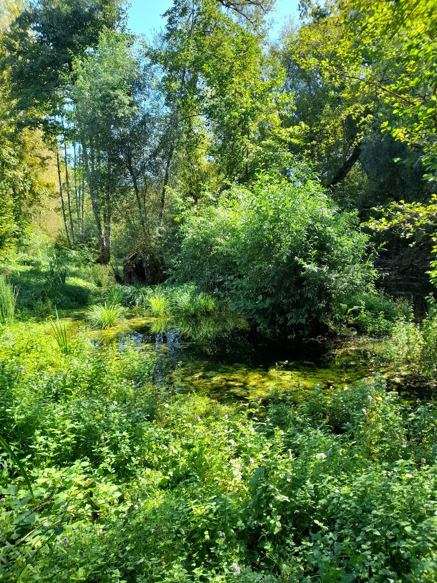 Maison la Garenne, Unienville