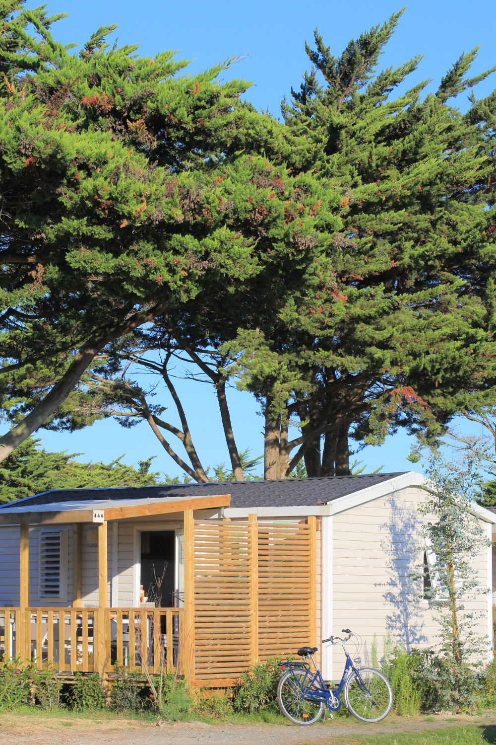 CAMPING LE PHARE - Les Portes-en-Ré | Destination Ile de Ré