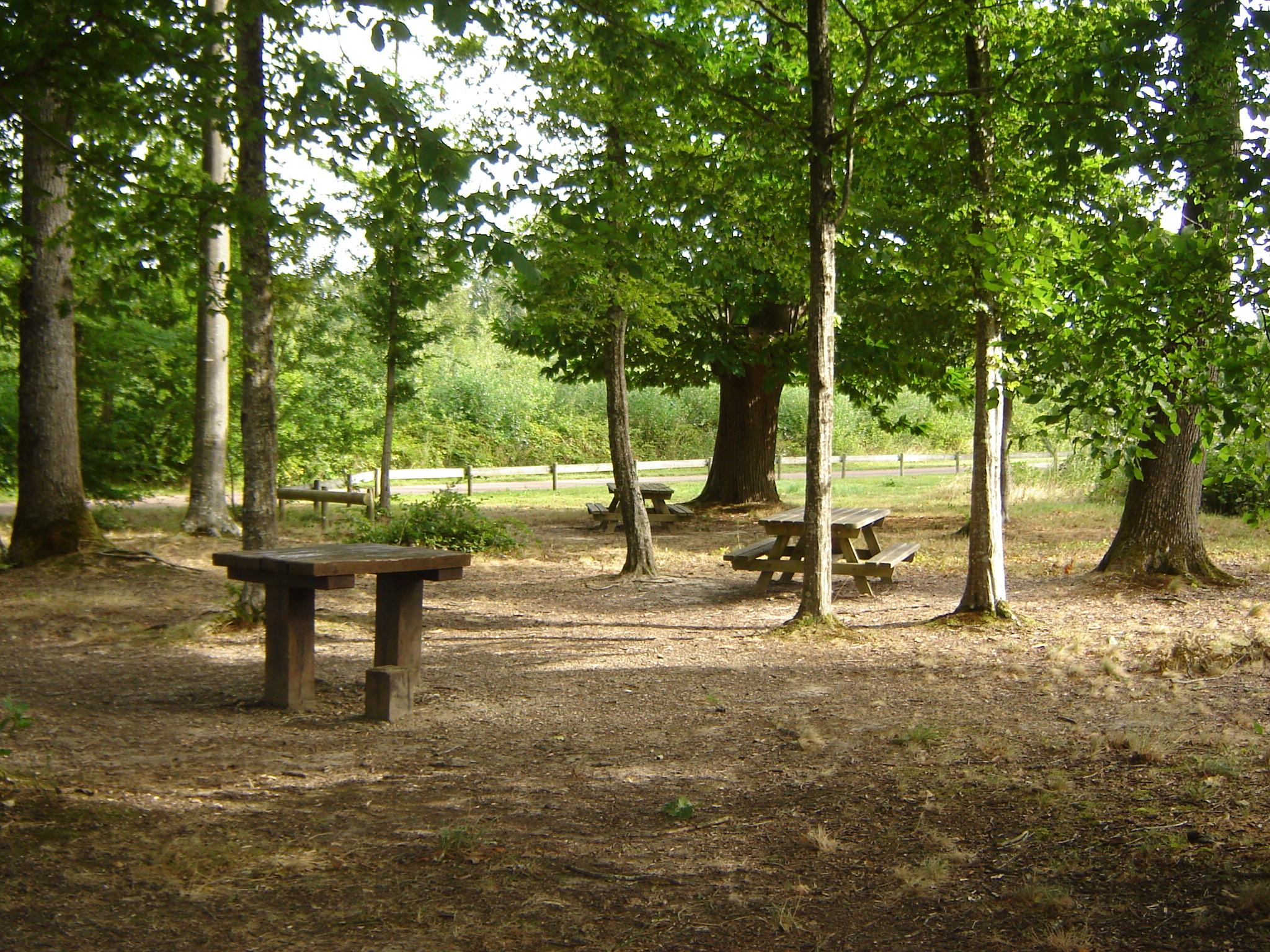 Aire de pique nique - photo 2