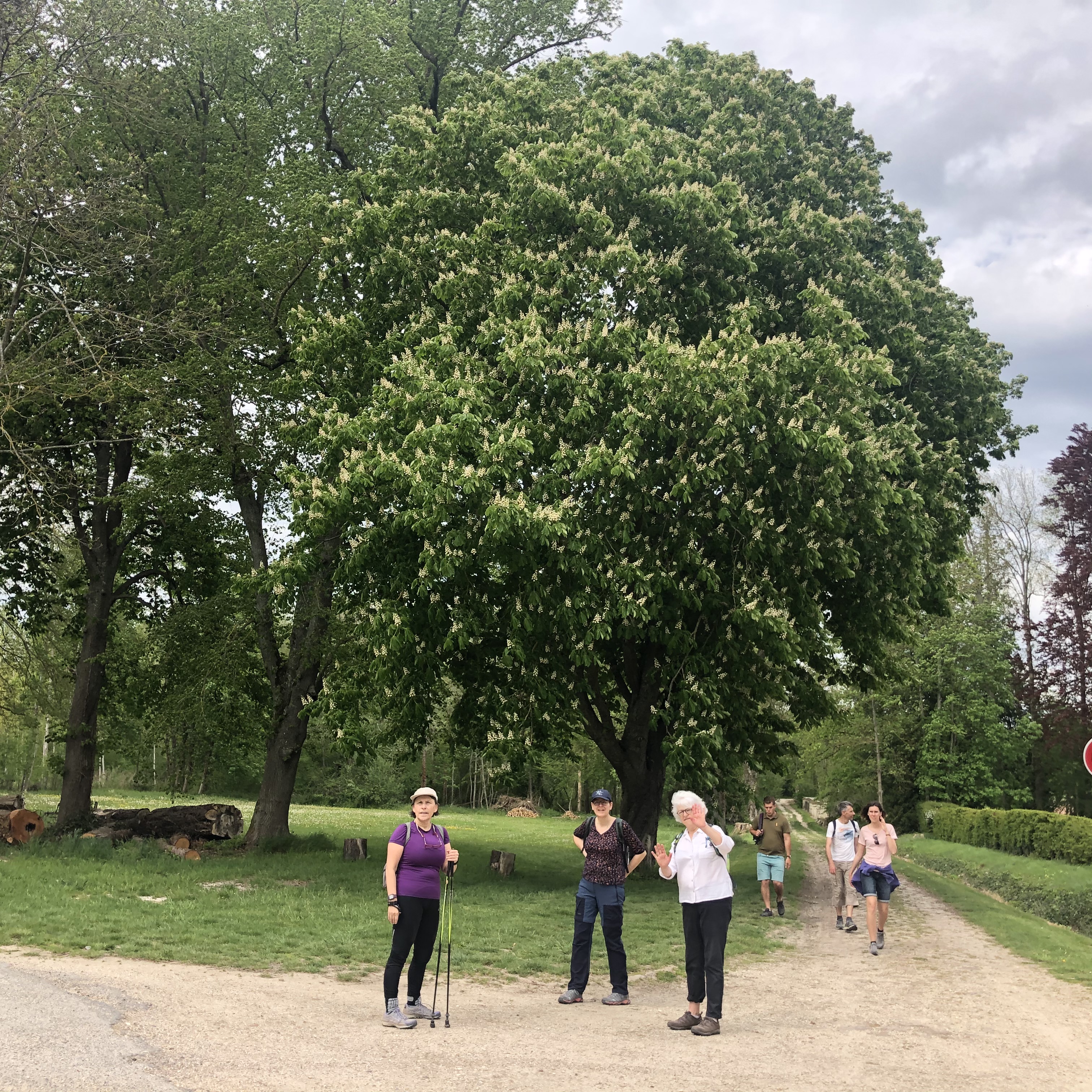 Les chemins de Coco, Crancey