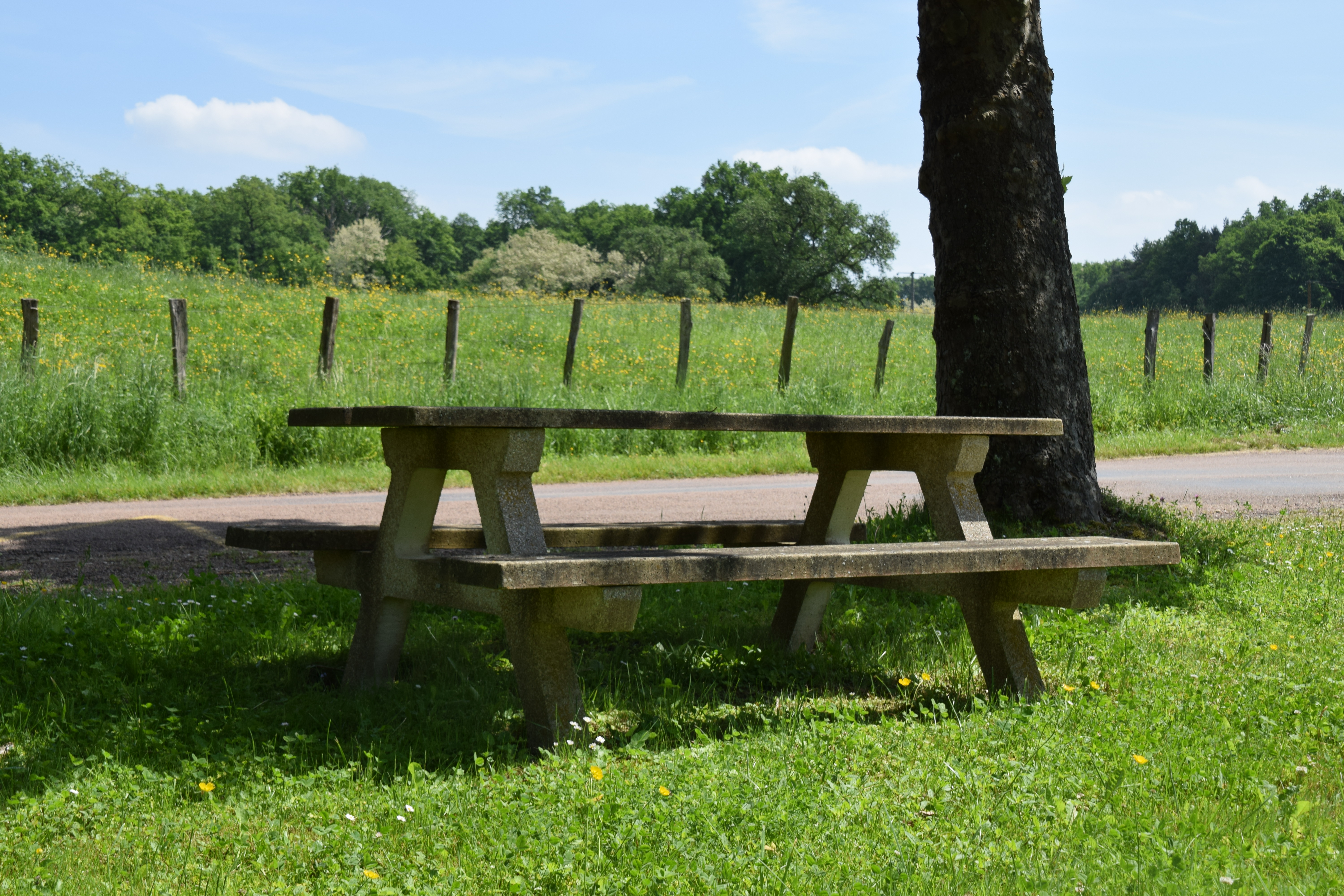 Aire de pique nique - photo 2