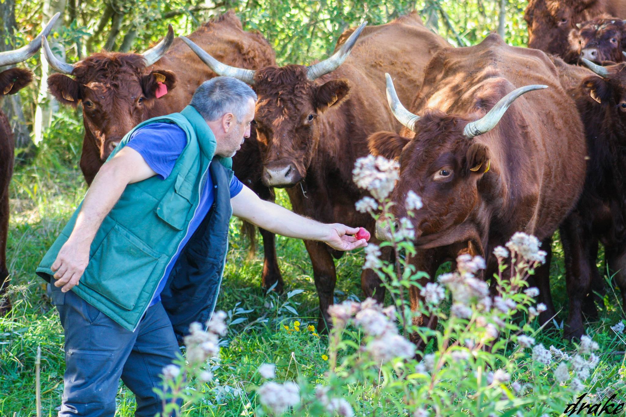 Ferme Bio du Mont Saint Benoist