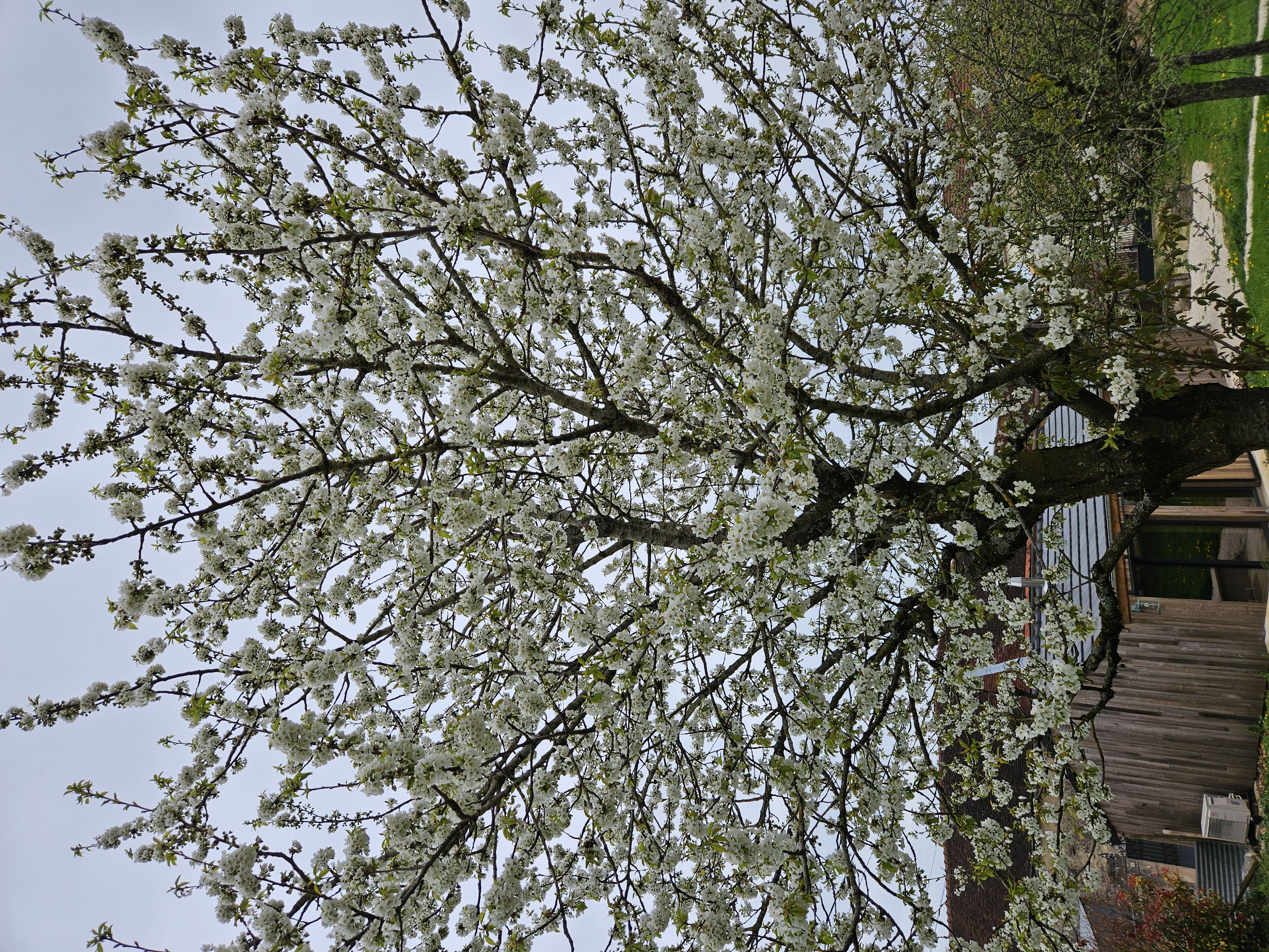 Le Cottage, Maisons-lès-Chaource - photo 20