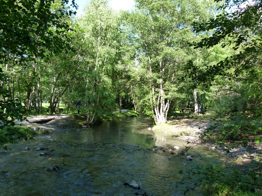 595734.jpg