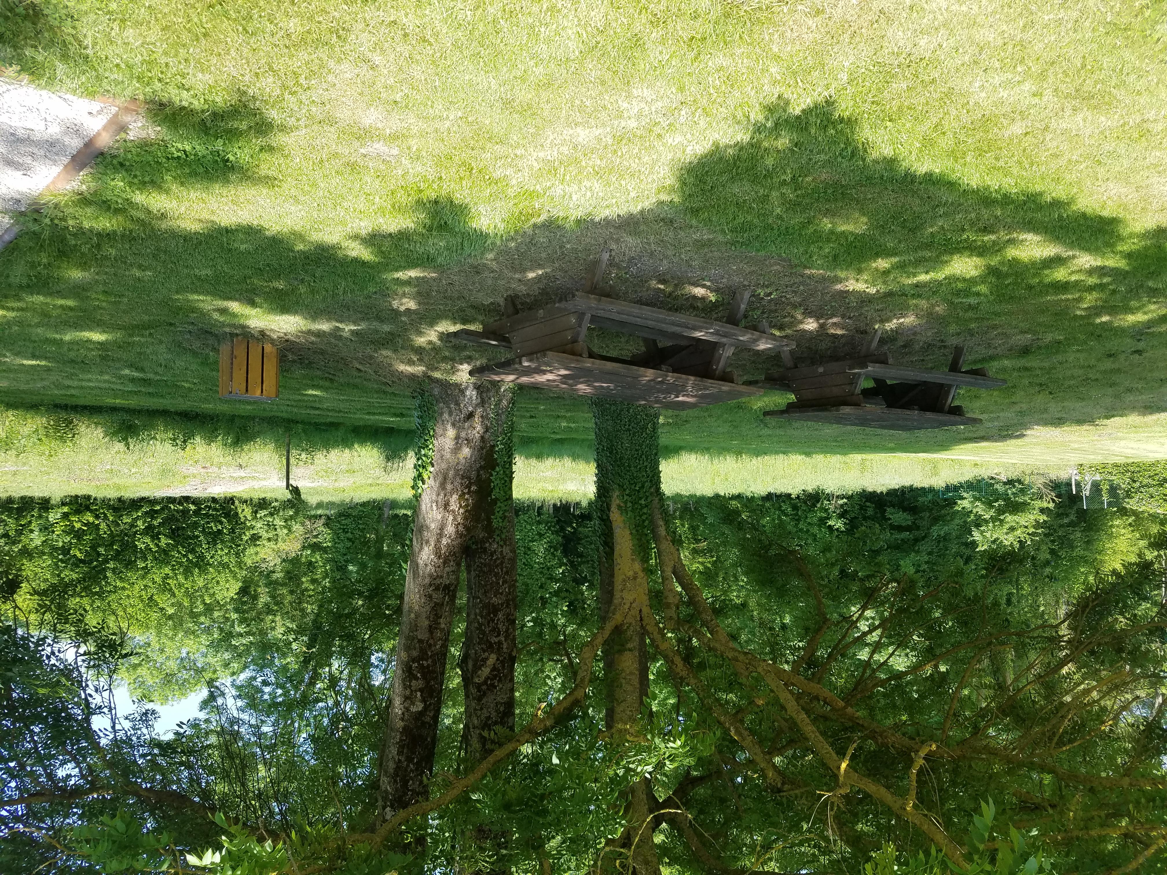 Aire de pique nique - photo 2