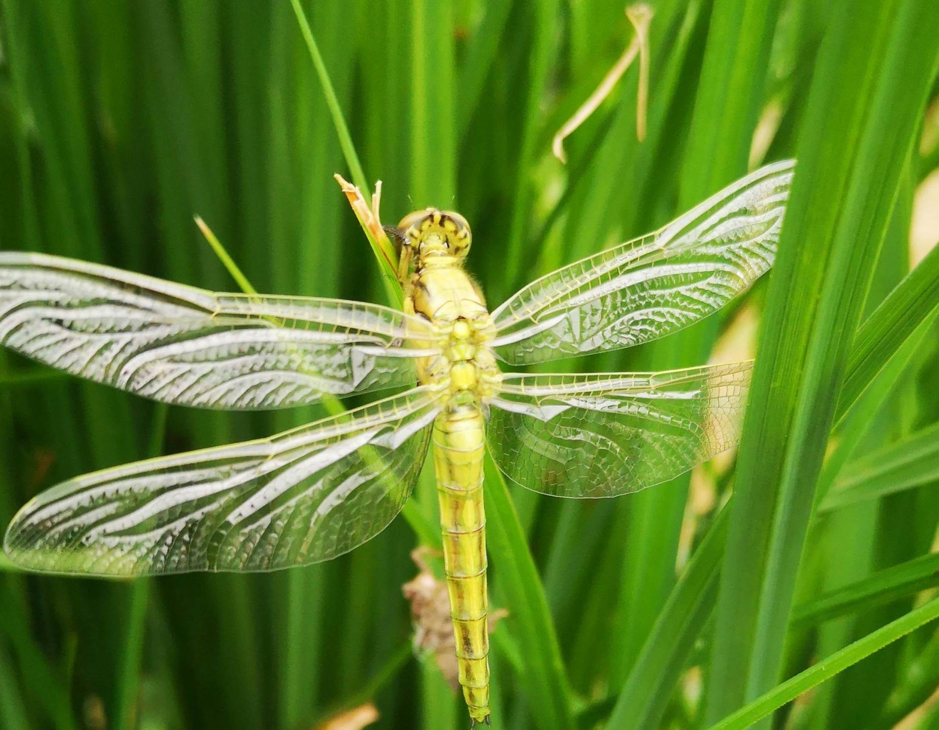 Sorties Nature