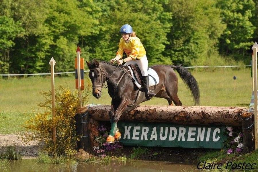 Concours_Equestres_Langonnet.jpg