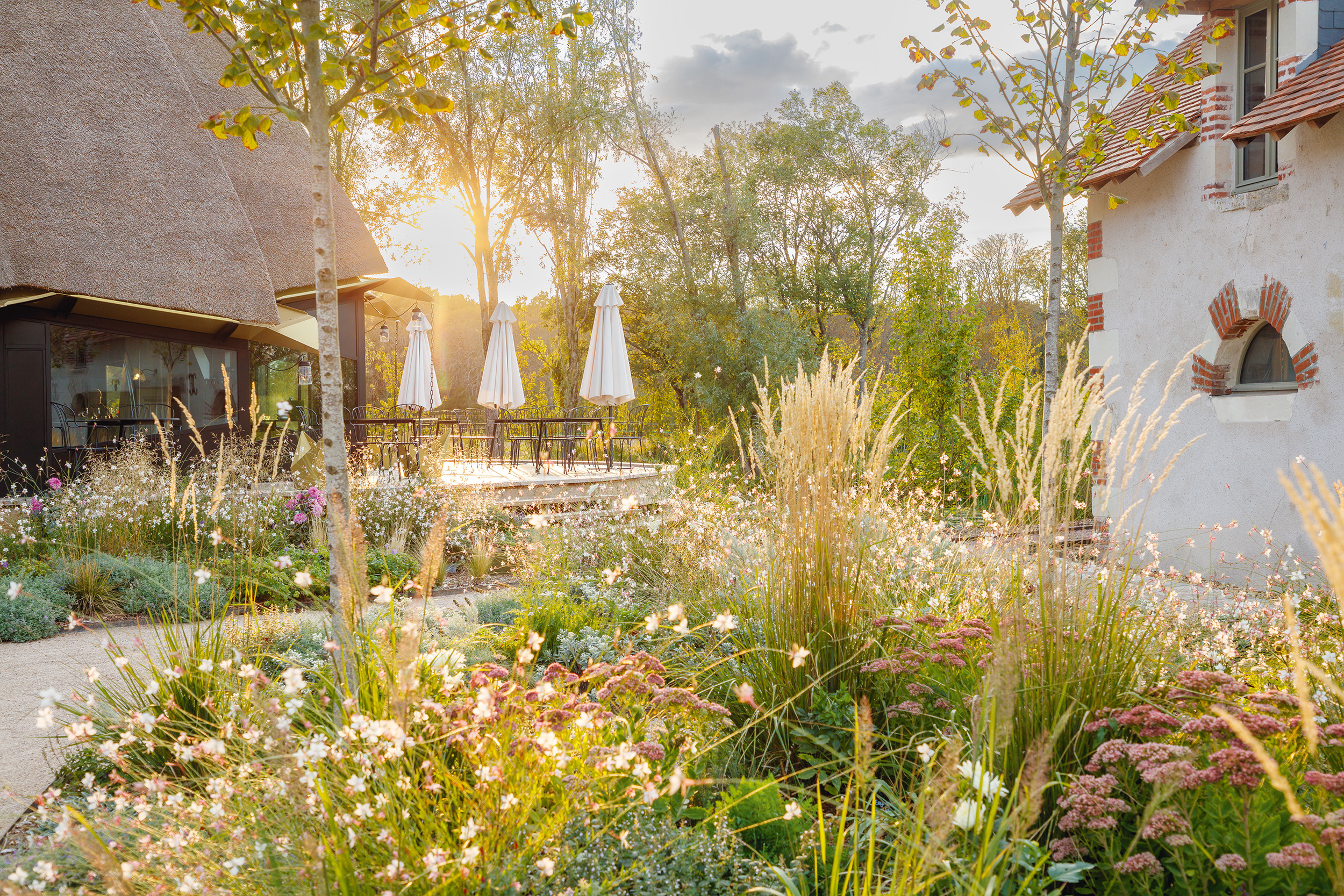 Cuisine gastronomique