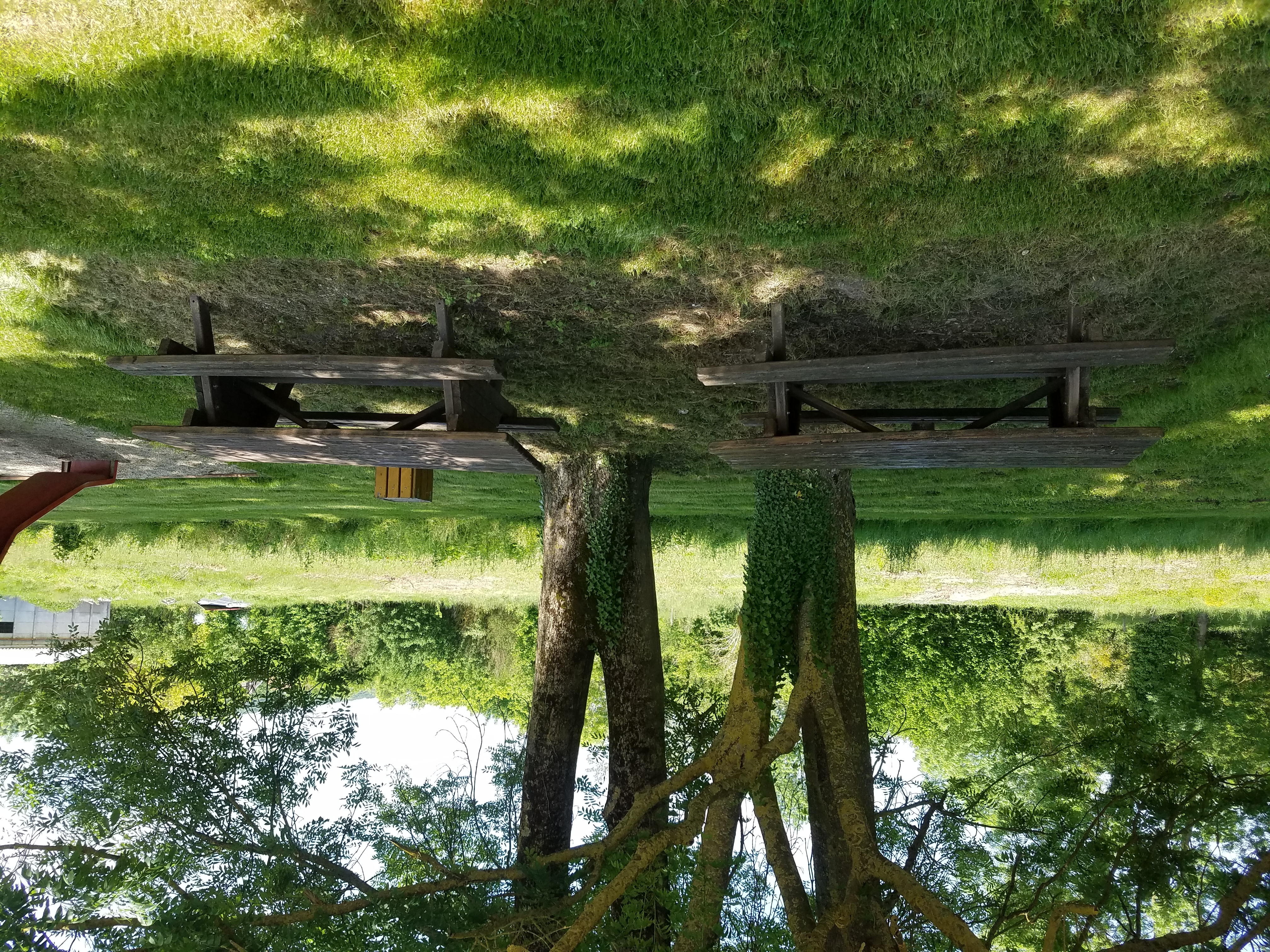 Aire de pique nique - photo 3