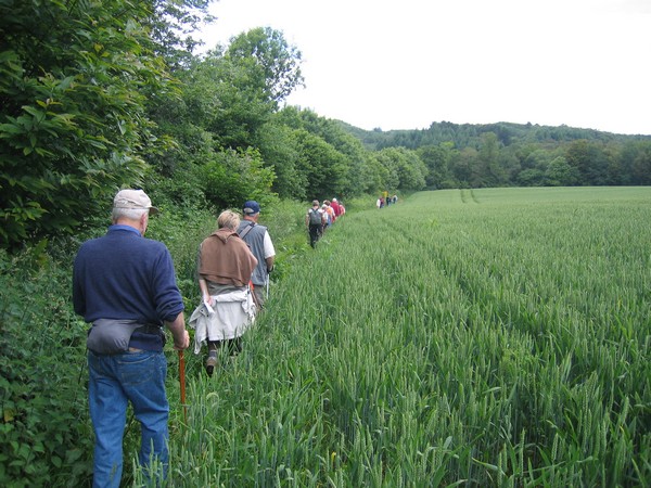 randonnées - PRM - crédit photo Association de Randonnées du Faouët (2).JPG