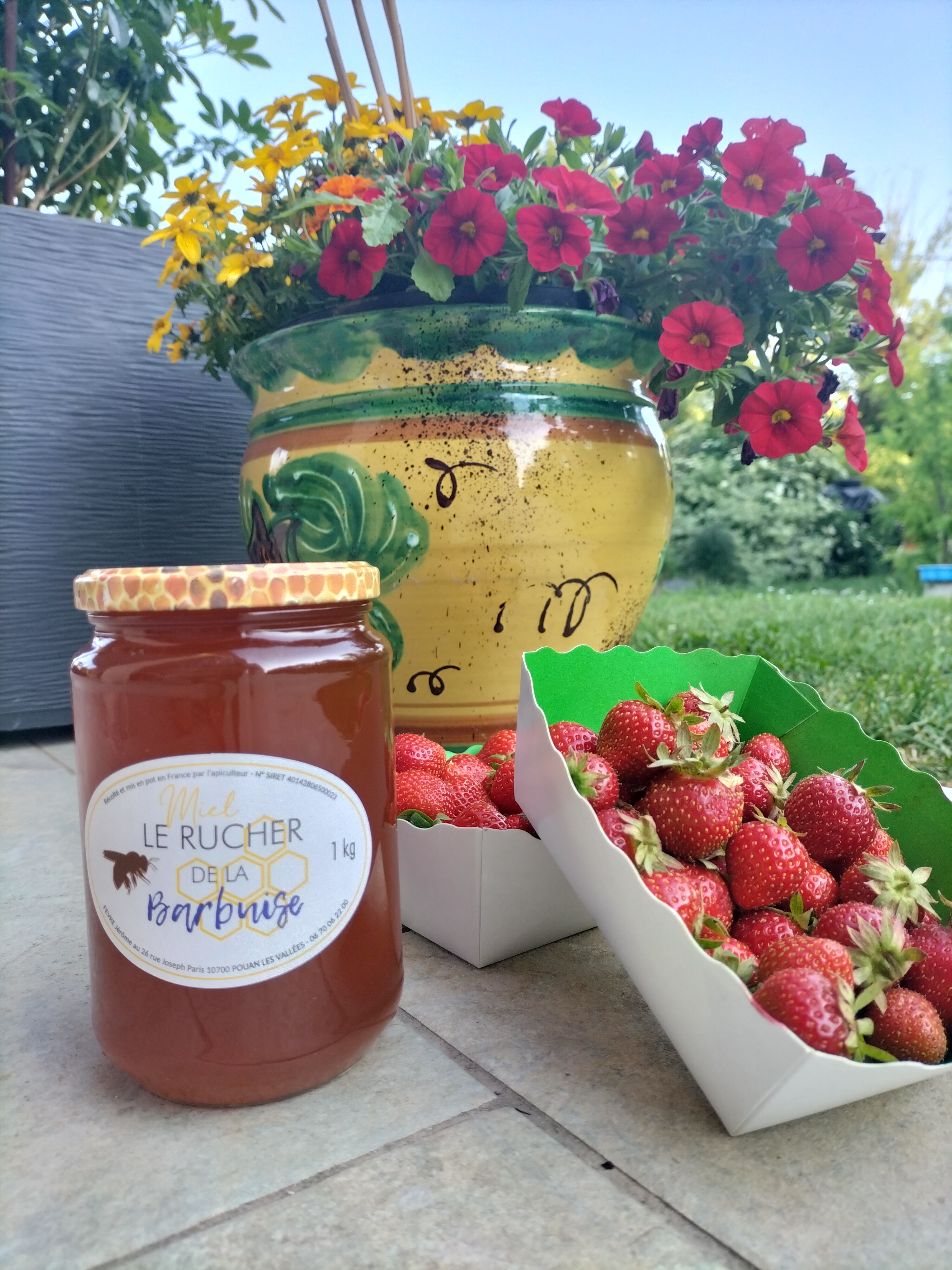 Le Rucher de la Barbuise