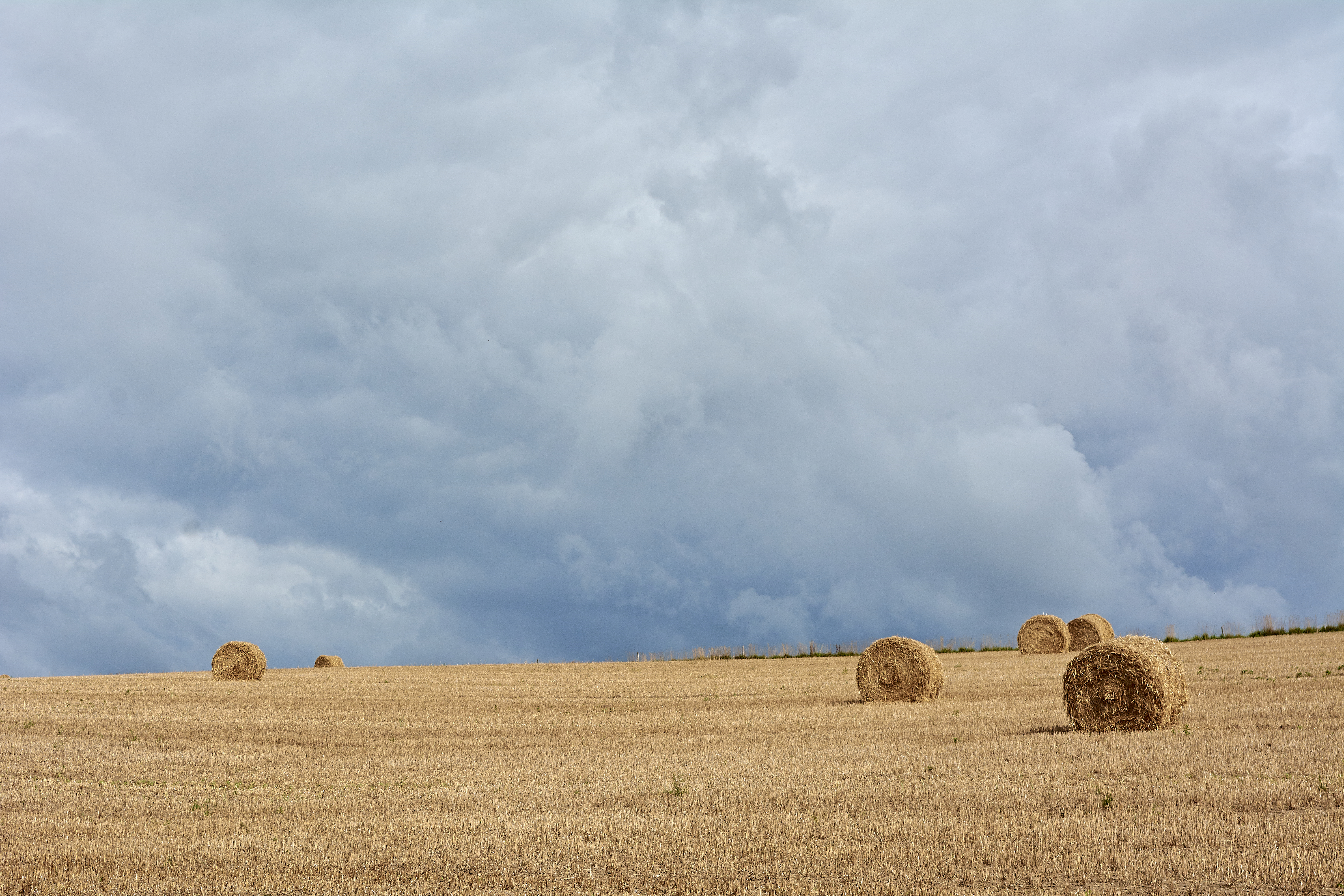 rouleau paille - HD - @M-A Gouret-Puillandre.jpg