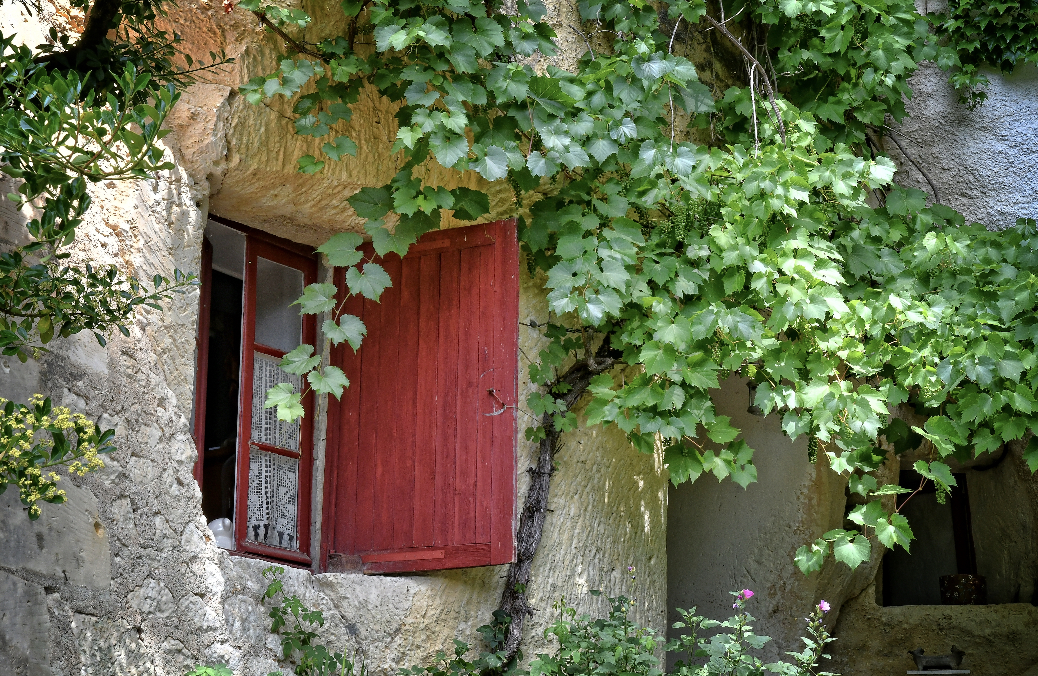 Toutes les activités