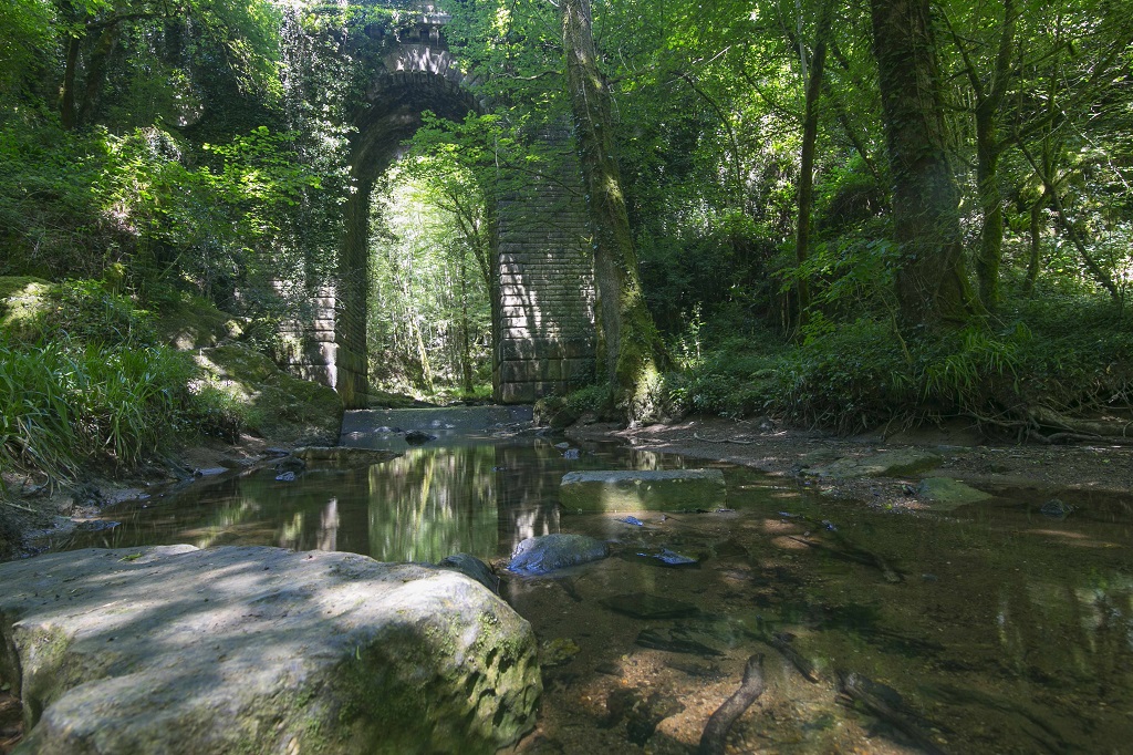 Autour de Mervent - crédits photos Mehdi Media Sud Vendée Tourisme.jpg