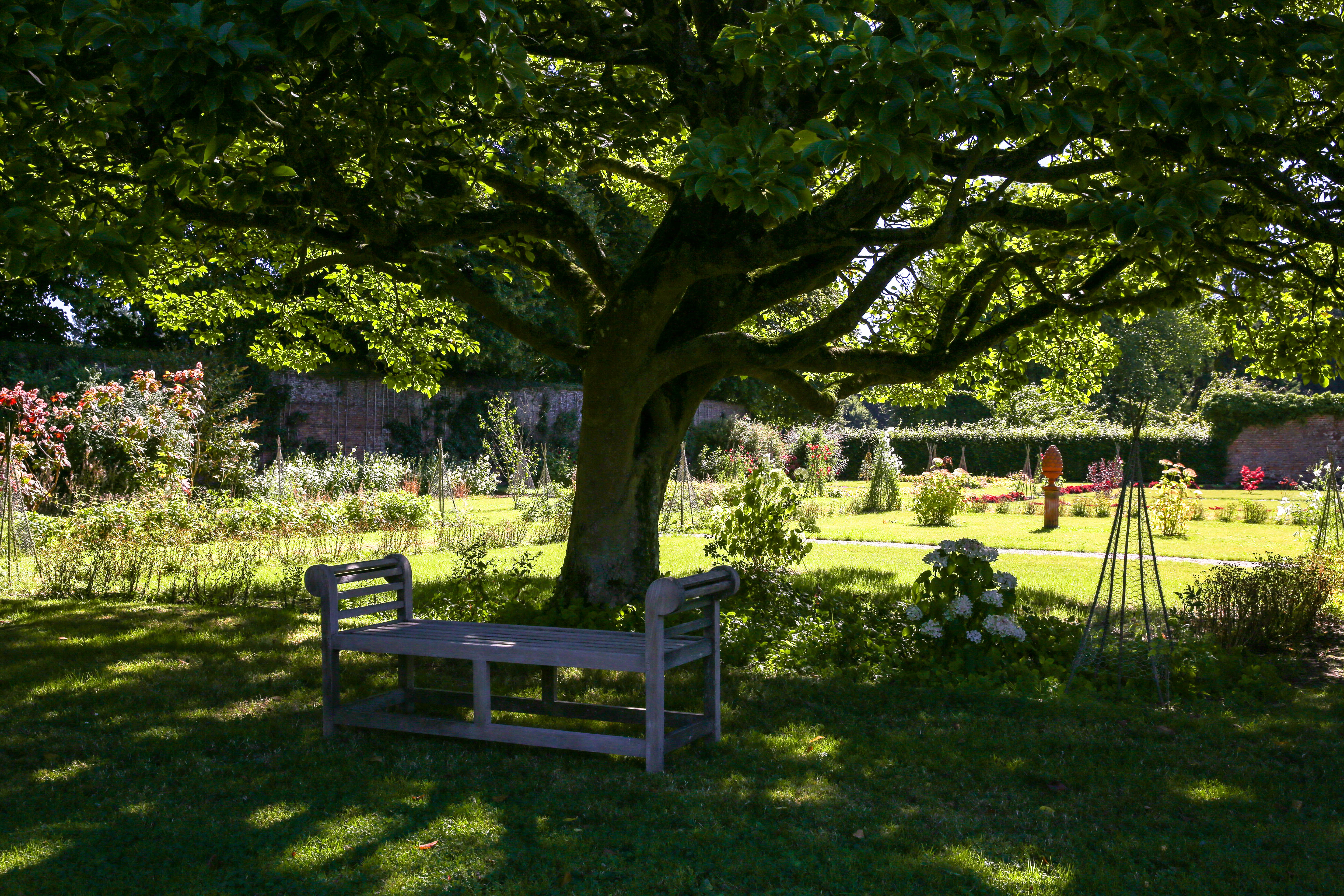 JARDIN Auffay-Chateau-Bosmelet∏CDT76-H.SALAH-23.jpg