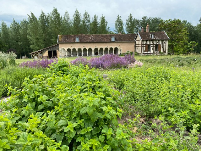 Visite guidée des vestiges de l'Ancienne Abbaye de Basse Fontaine