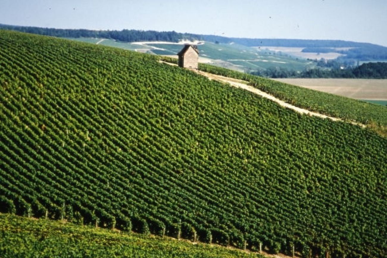 Sur la Route des Cisterciens, Bar-sur-Aube - photo 13