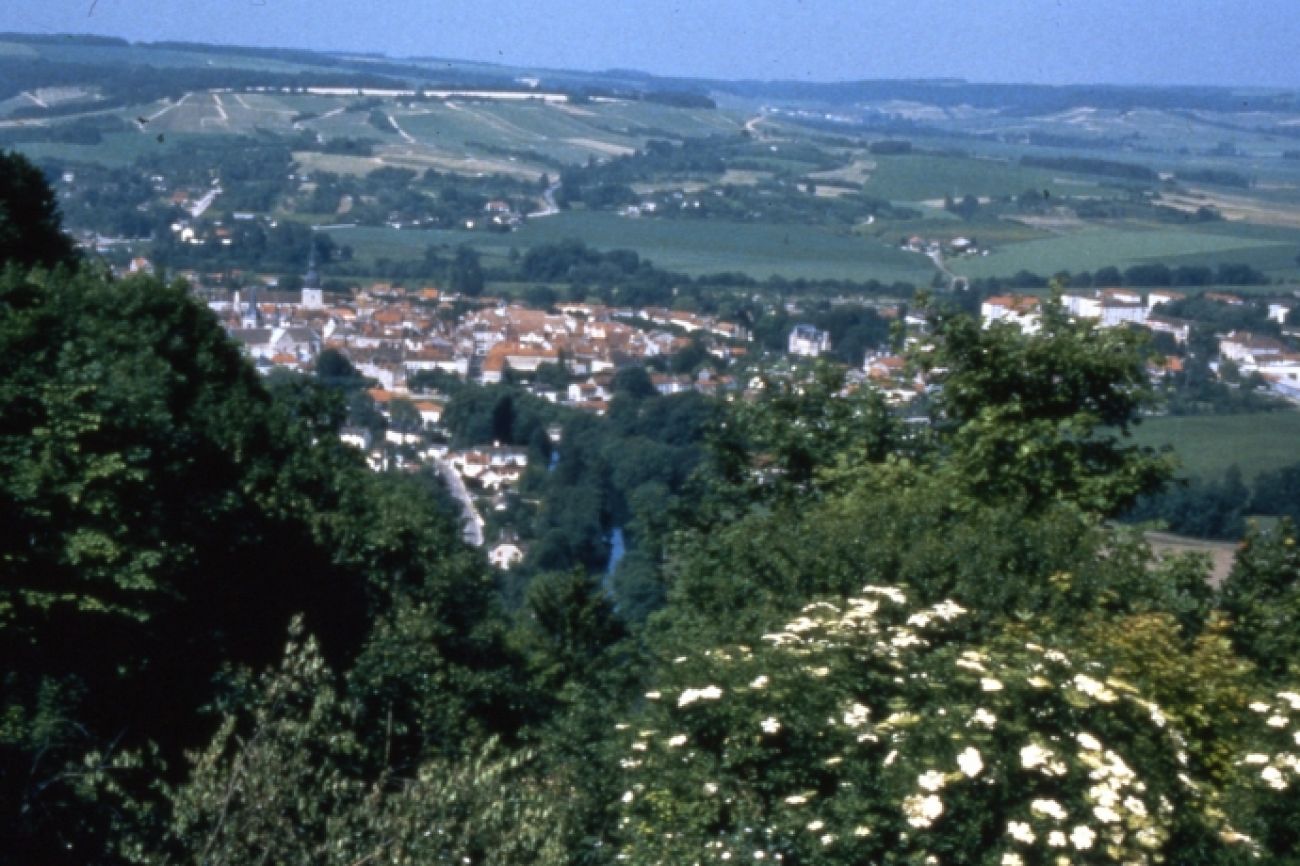 La Côte d'Aube, Bar-sur-Aube - photo 2