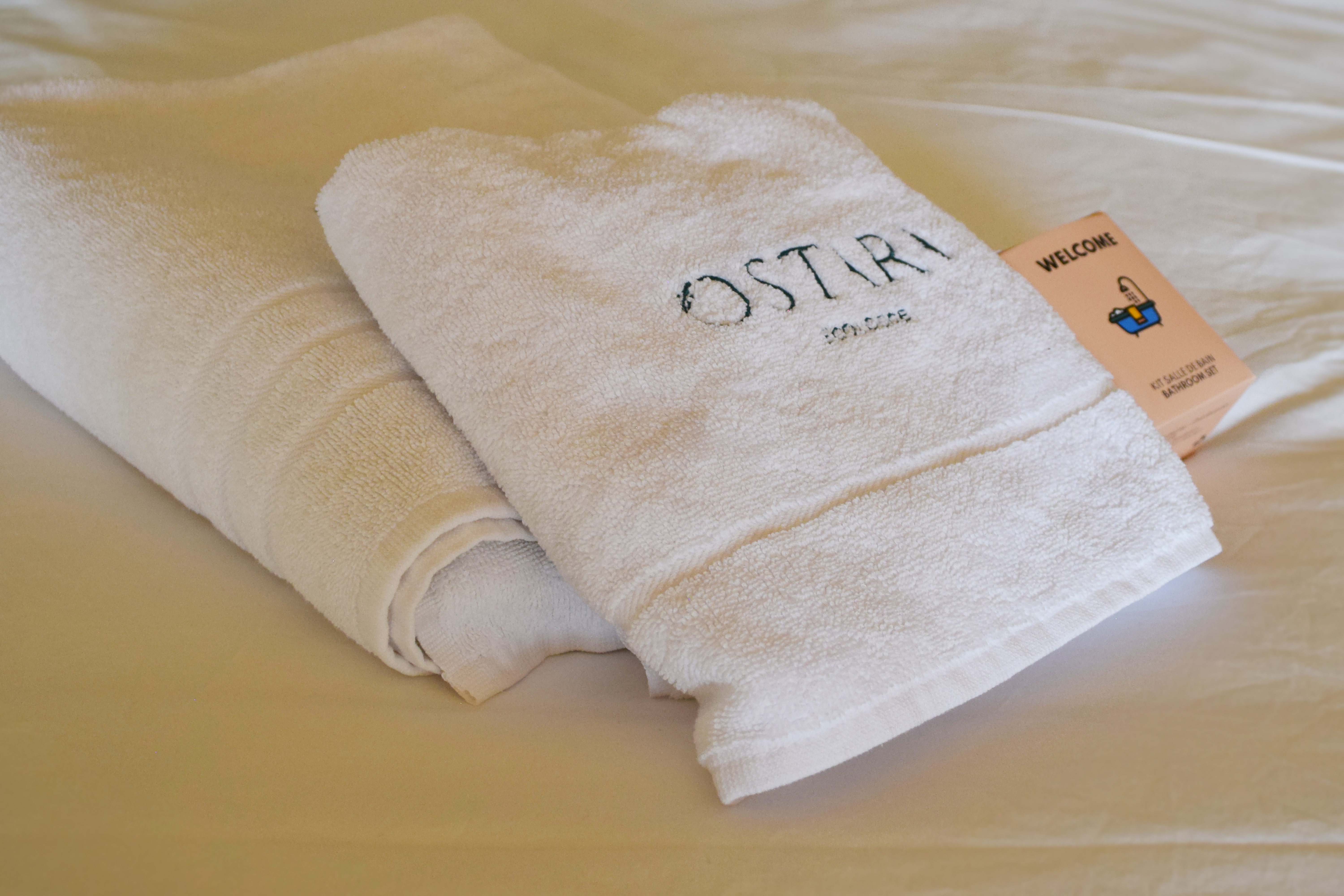 Gîte Hestia, Saint-Mards-en-Othe - photo 6