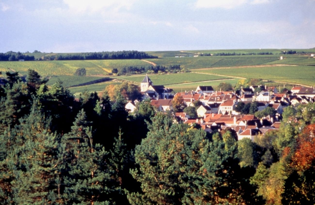 Sur la Route des Cisterciens, Bar-sur-Aube - photo 10