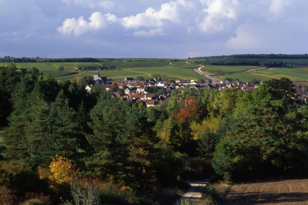 Tour de Béline, Landreville - photo 3