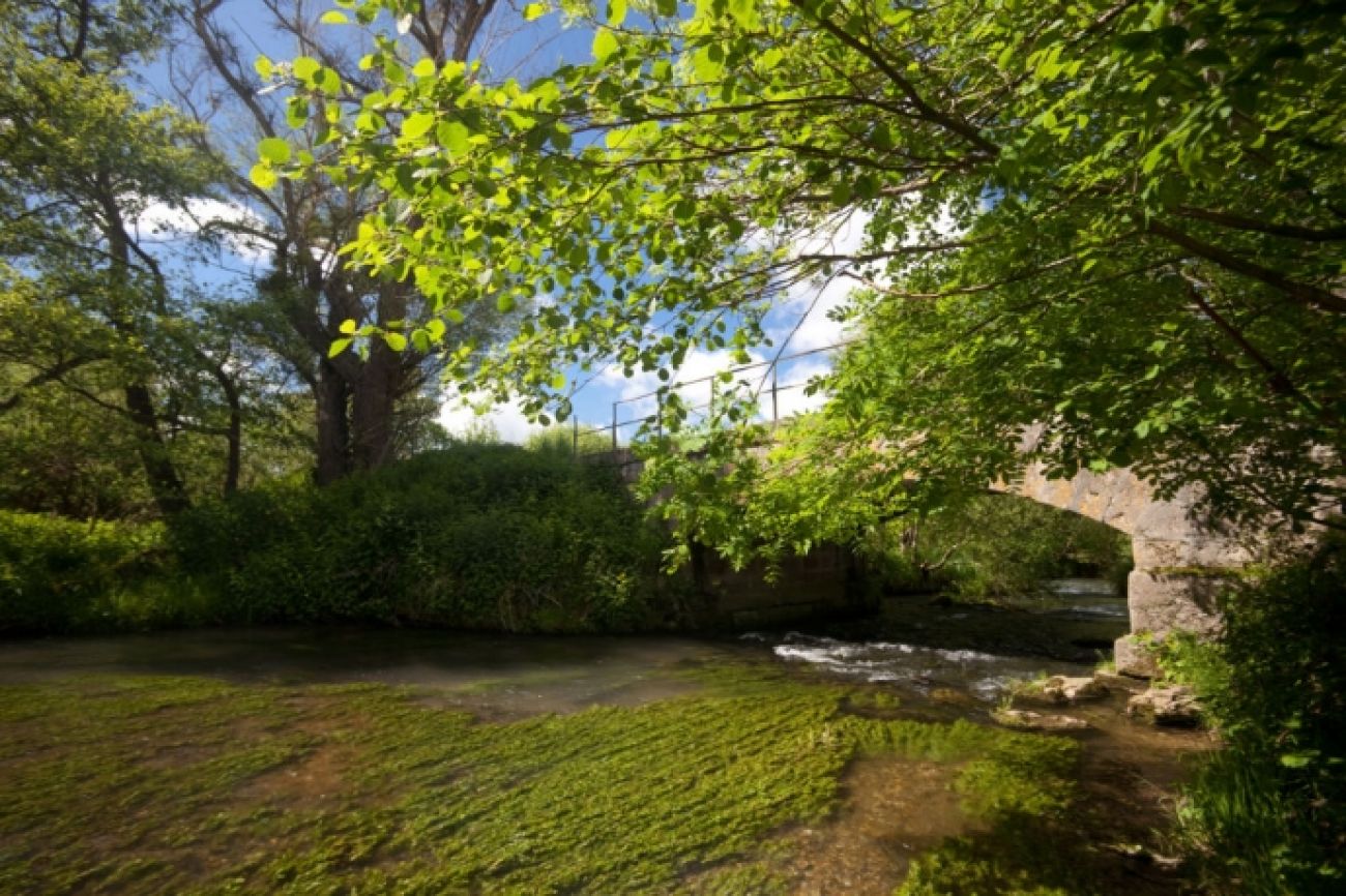 Circuits des lavoirs, Estissac - photo 9