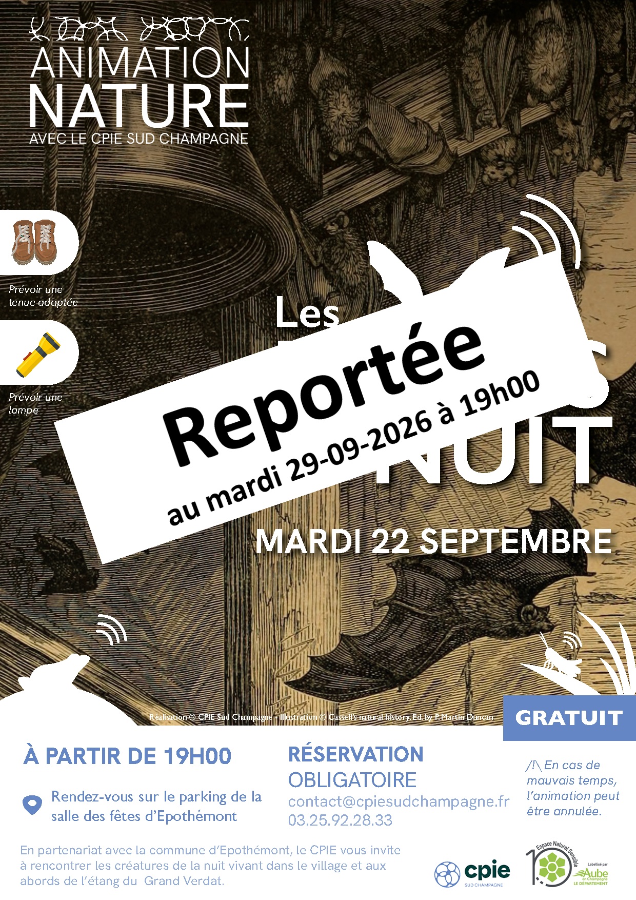Les bruits de la nuit