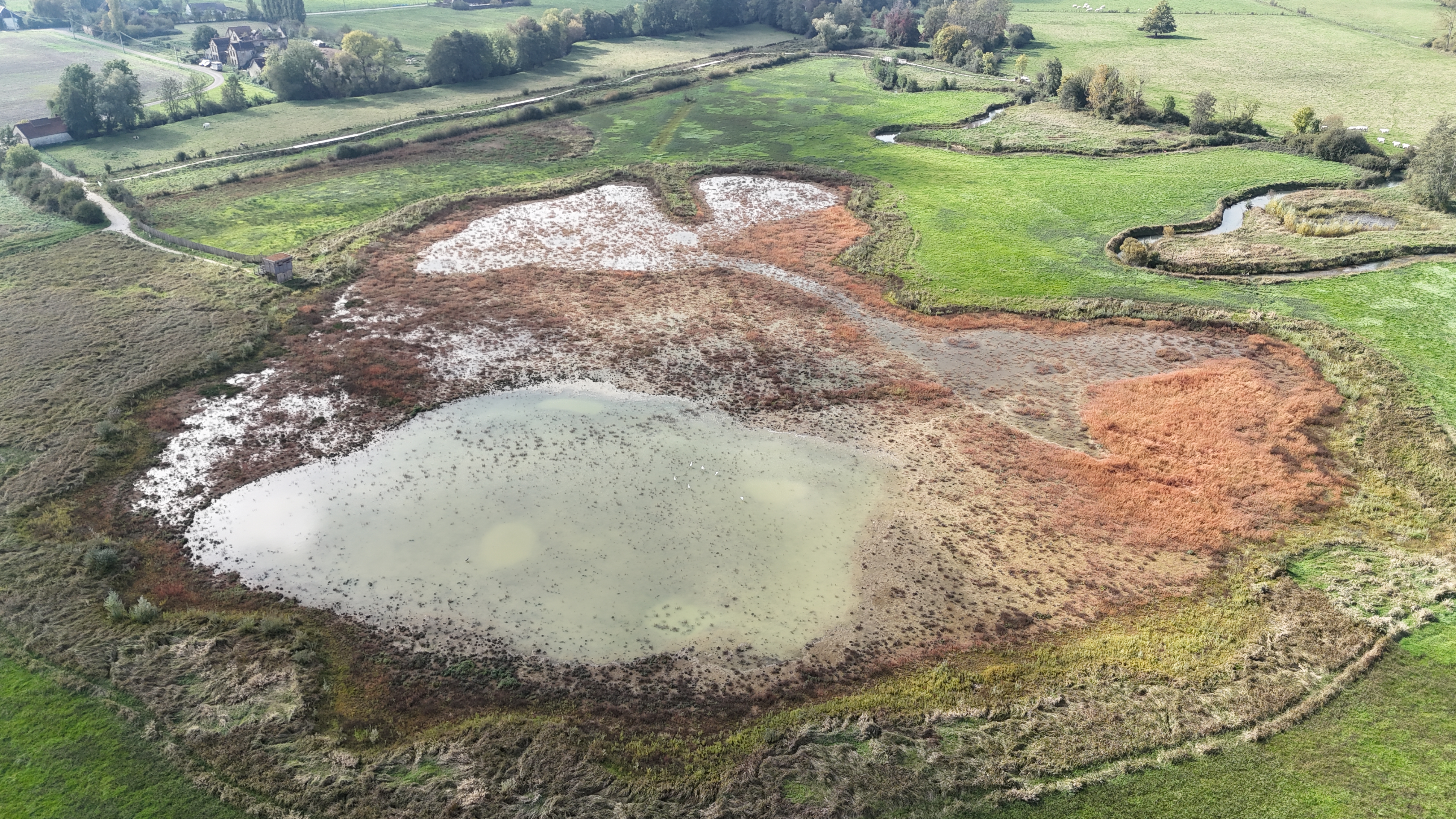 Sortie nature sur le site Espace Naturel Sensible de Davrey