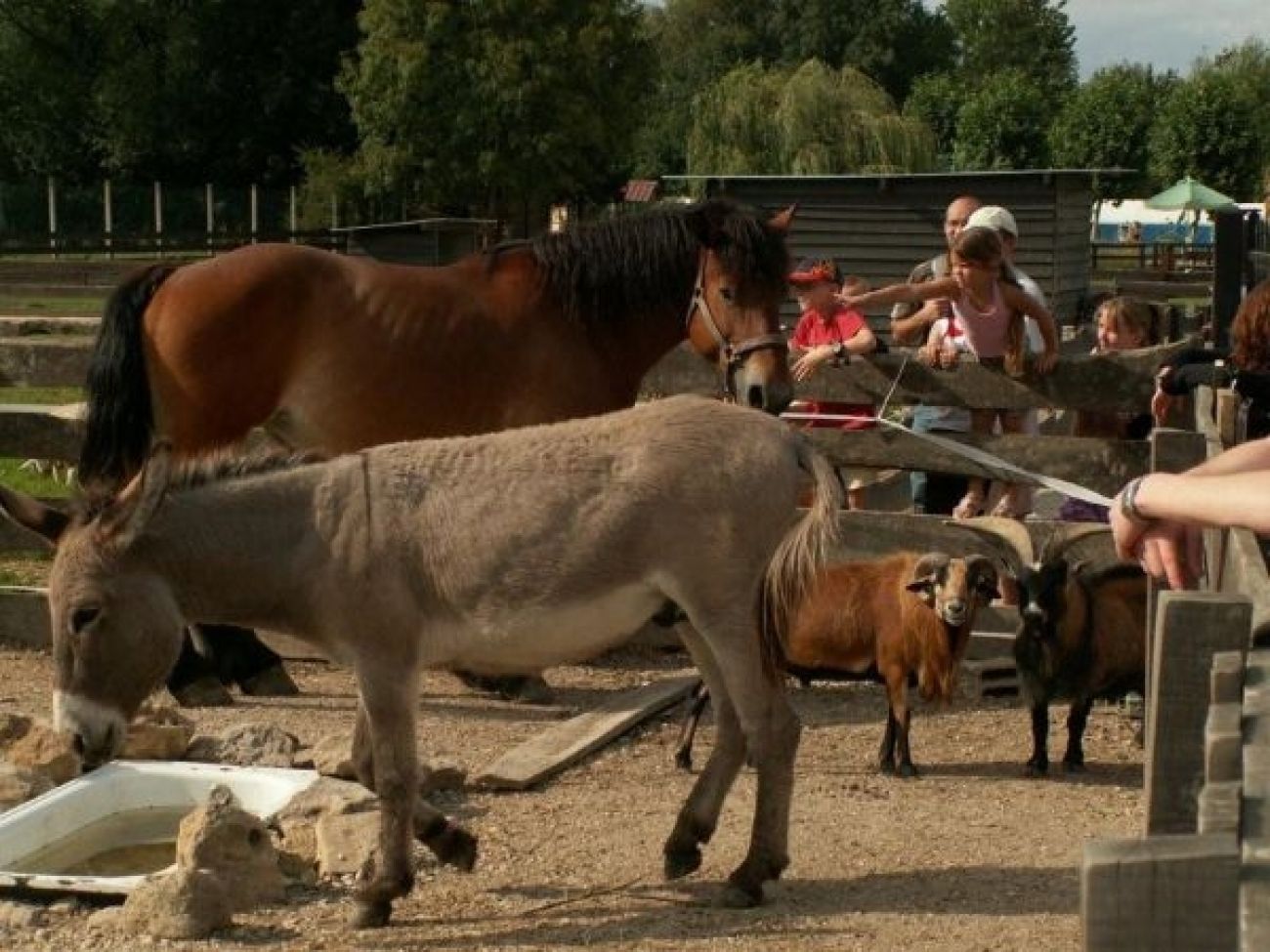 Balade en bord de Seine, Romilly-sur-Seine - photo 3