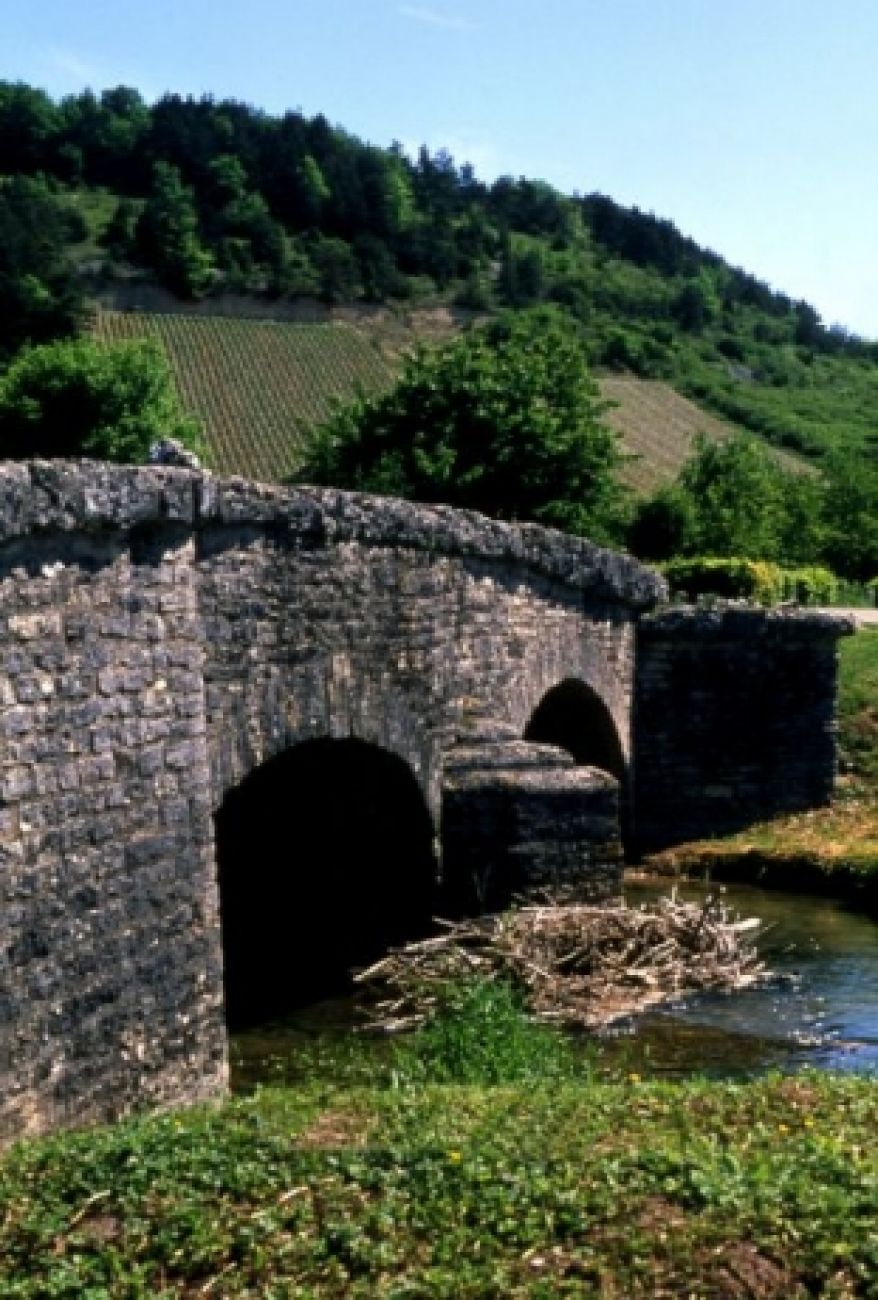 Sur la Route des Cisterciens