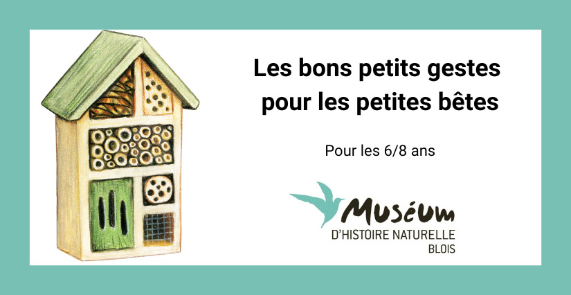 Arts et loisirs