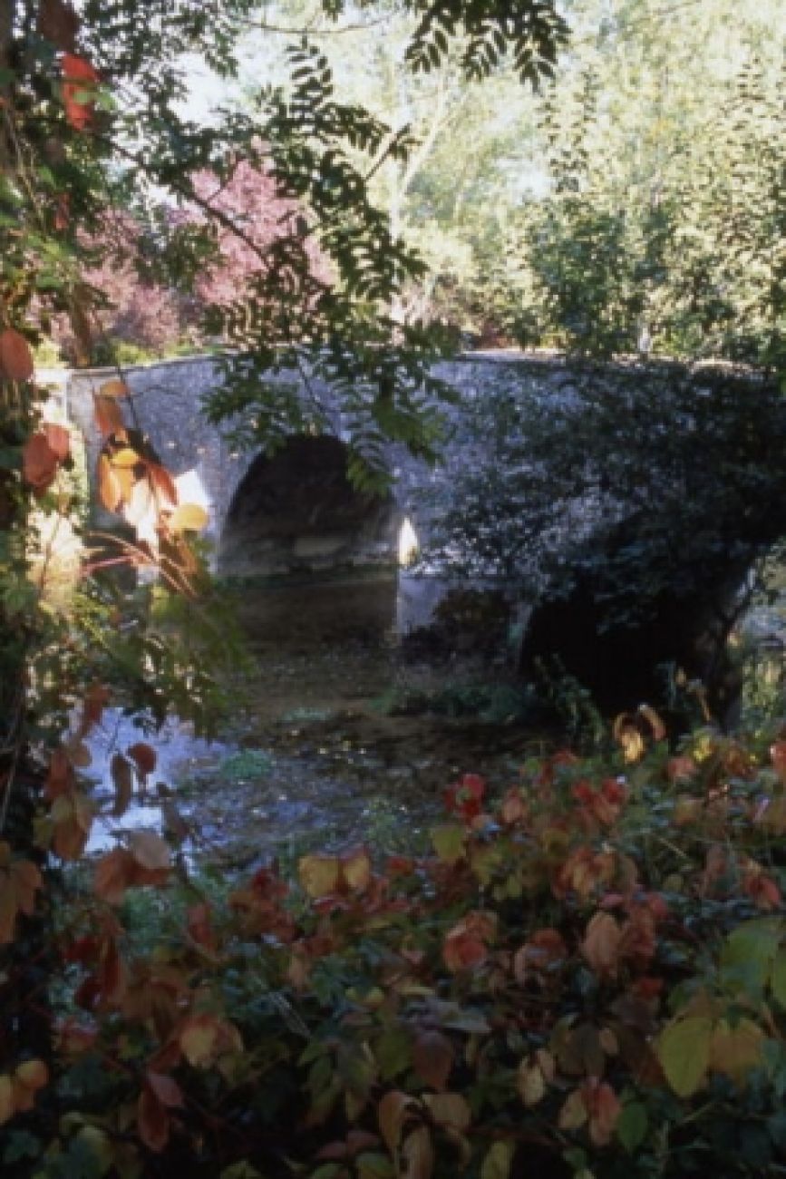 Au pays de Renoir, Essoyes - photo 15