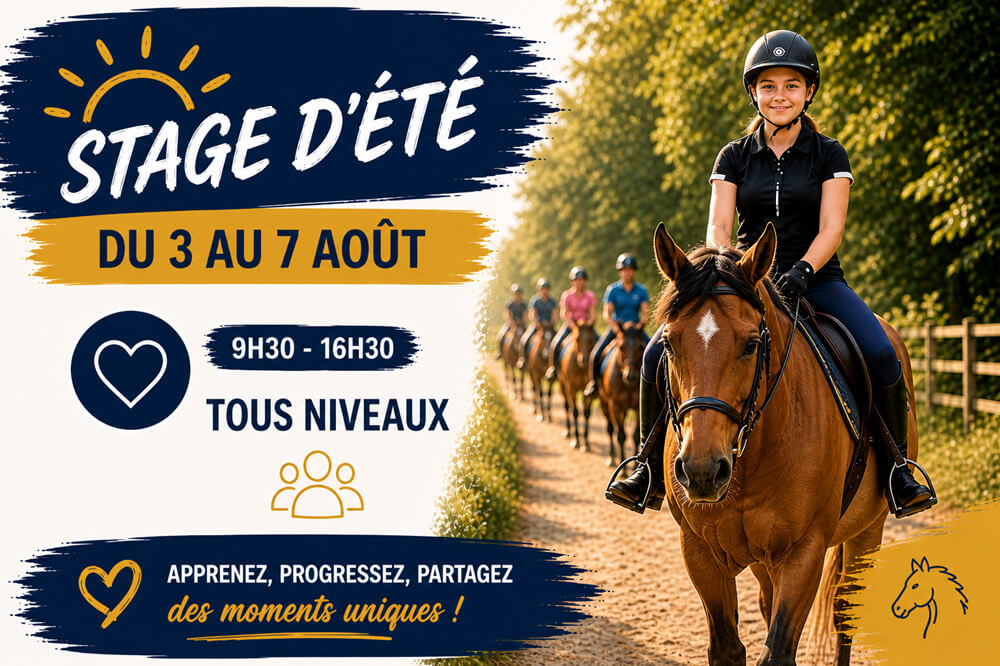 Stage d'équitation - Tous niveaux