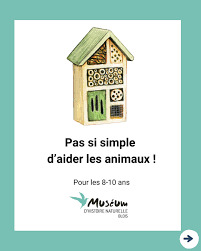 Arts et loisirs