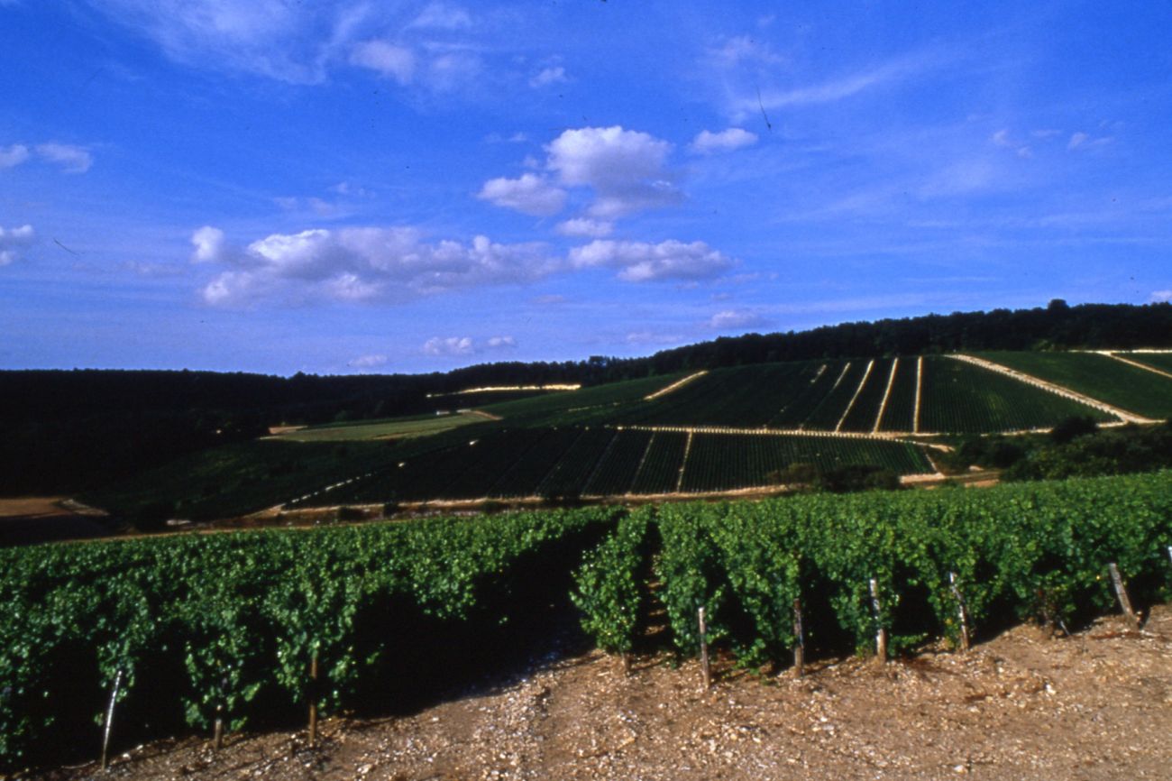 Route du champagne à vélo