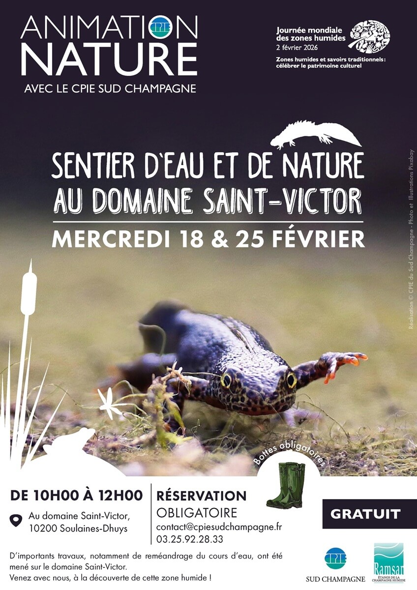 Animation nature : Sentier d'eau et de nature