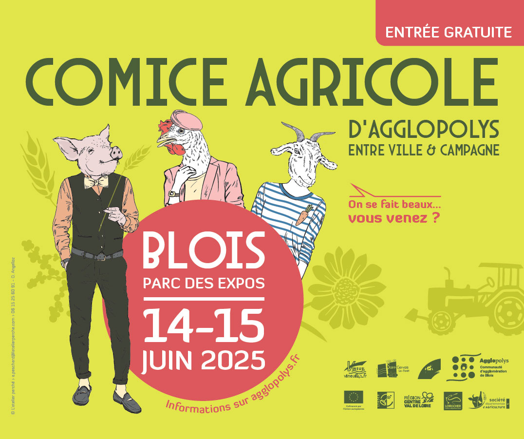 Fêtes et Animations