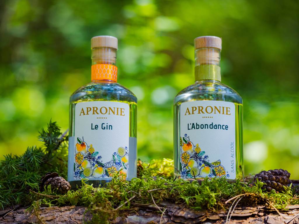 Domaine D'Apronie, Saint-Flavy - photo 15