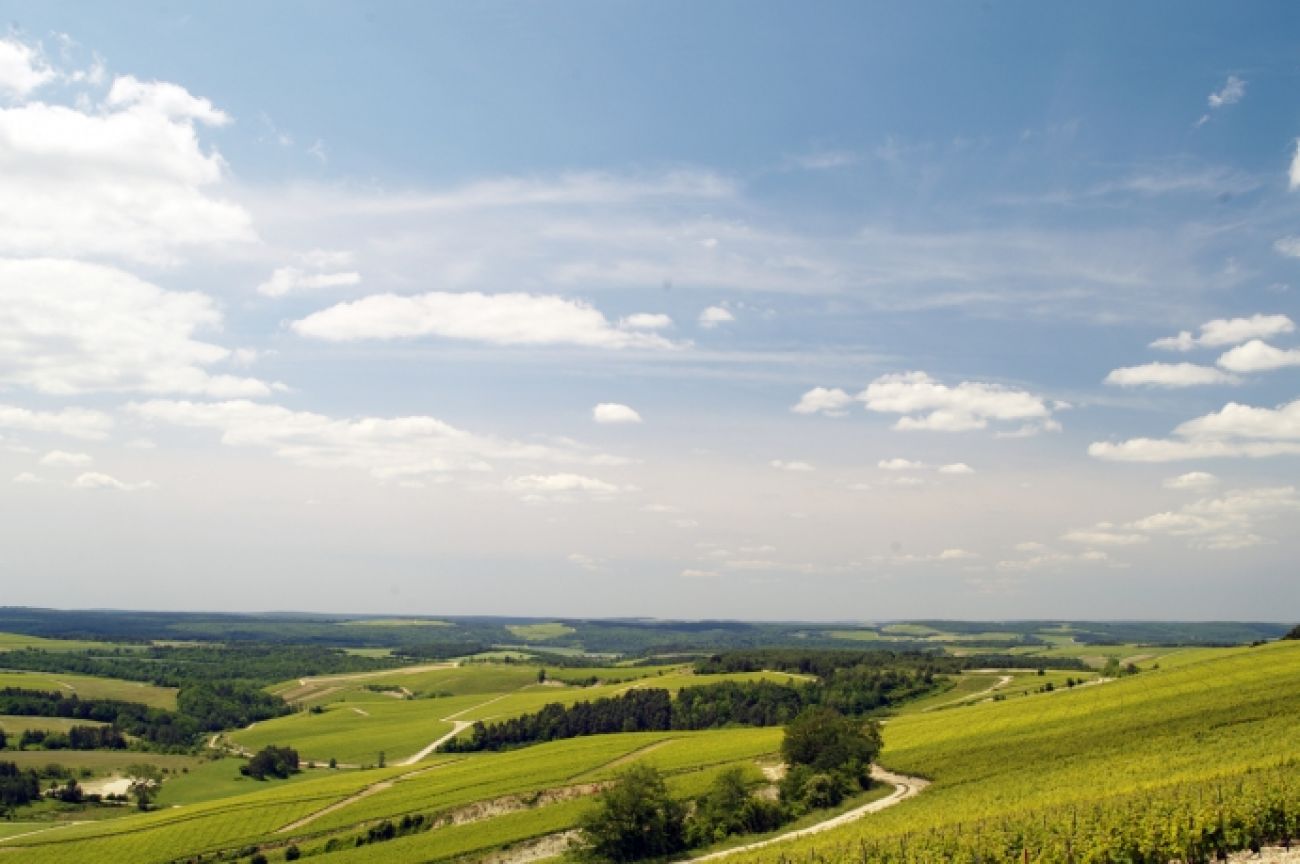 Tour des Vignes, Noé-les-Mallets - photo 2