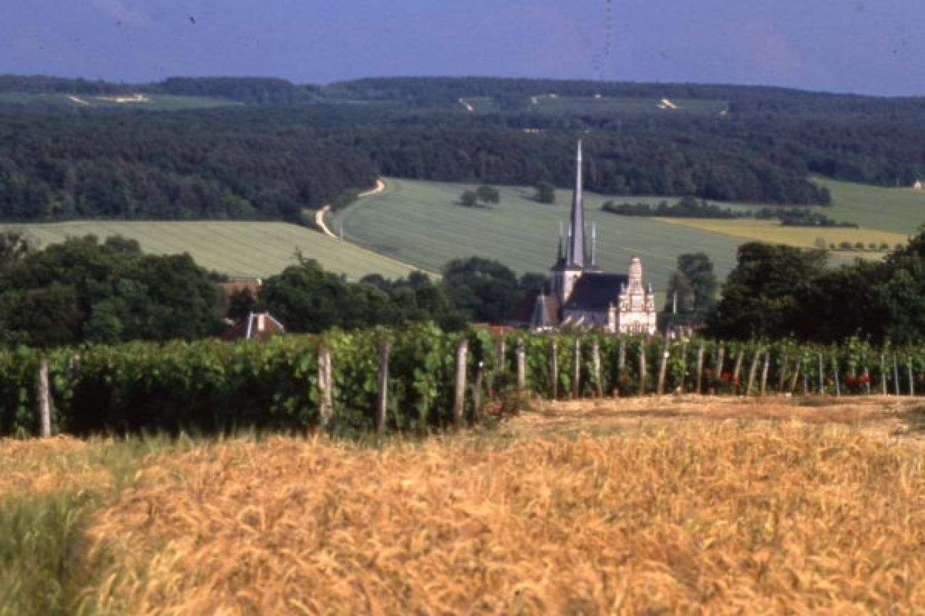 Le Circuit du Roi des Vins, Mussy-sur-Seine - photo 3