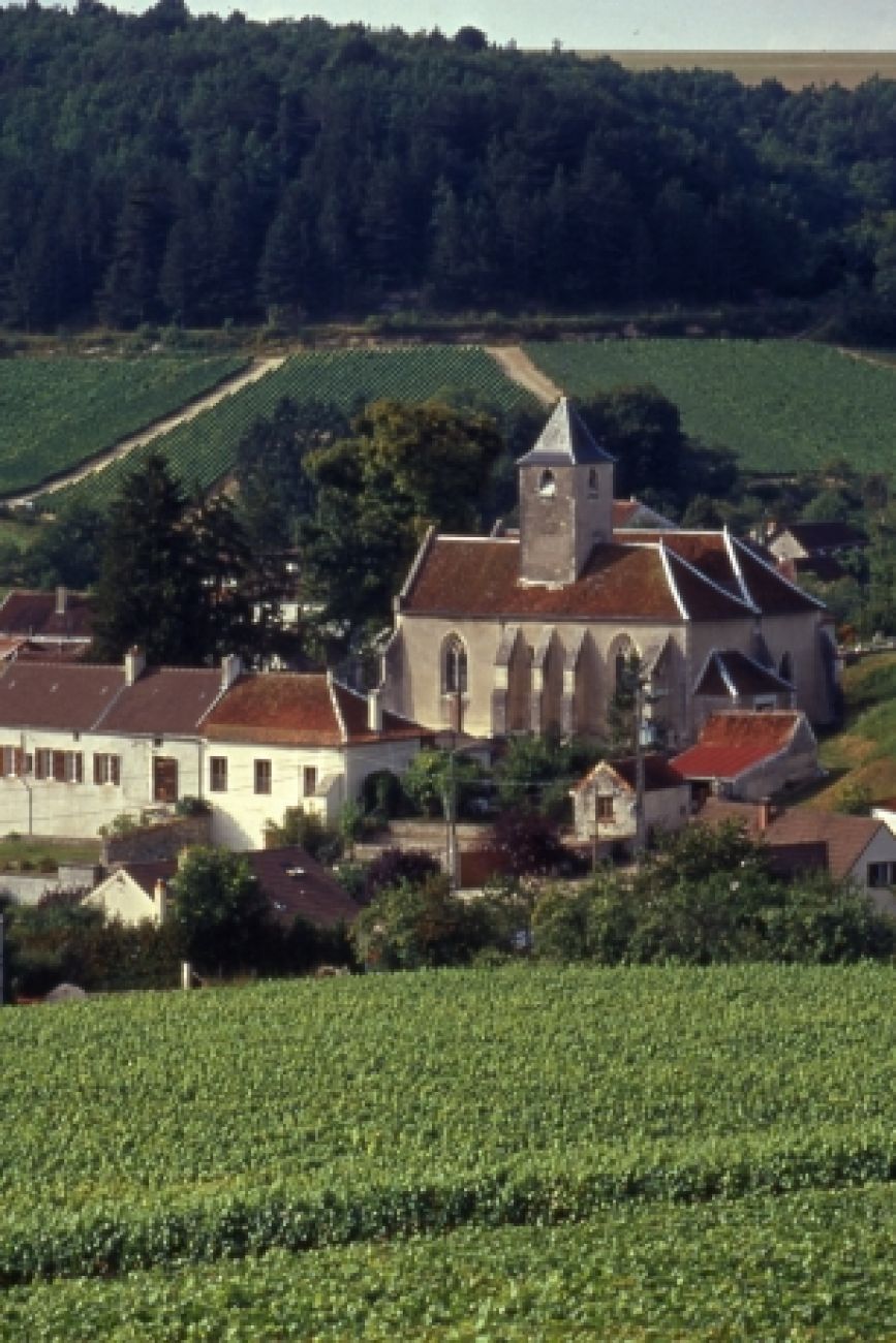 Tour du Val Breton, Viviers-sur-Artaut - photo 4