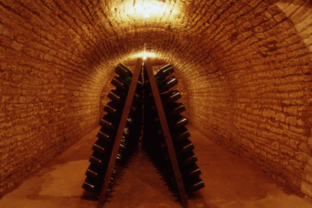 Le Circuit du Roi des Vins, Mussy-sur-Seine - photo 12