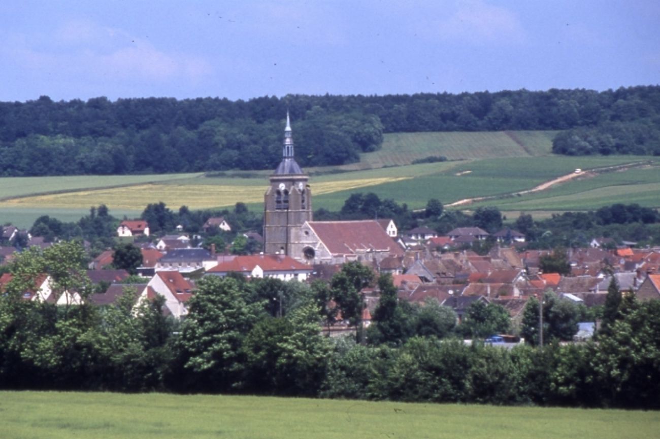 Terroirs et vignes en Val de Noxe, Villenauxe-la-Grande - photo 2