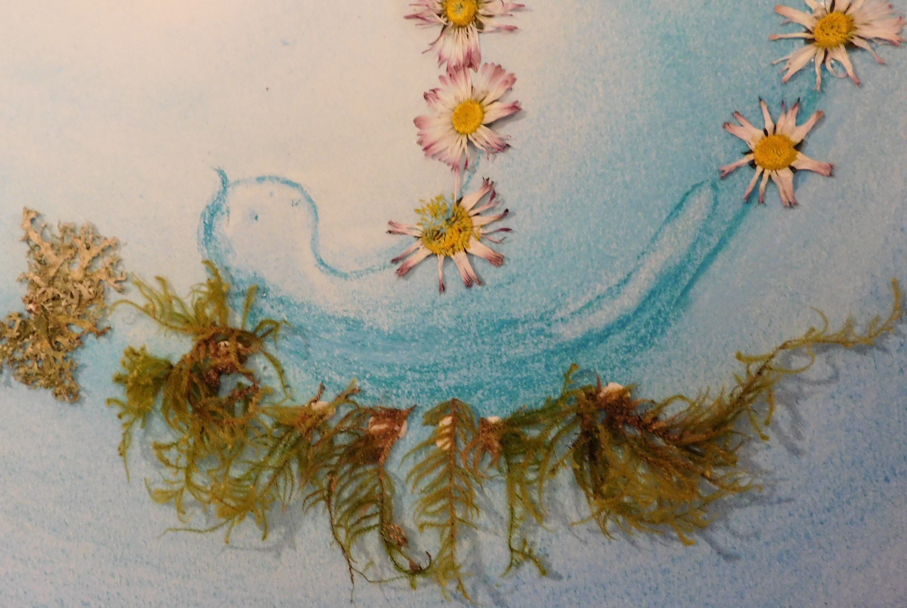 Atelier Pastel sec + Land art (créations à base de matériaux végétaux)